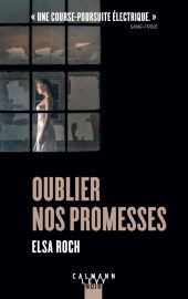 Chronique Dora-Suarez Oublier nos promesses - Elsa Roch