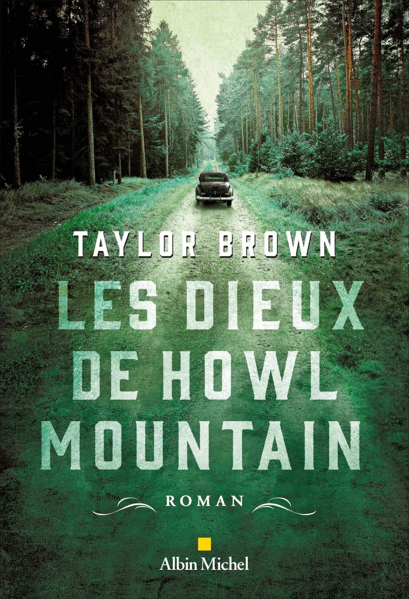 Les dieux de Howl mountain - Taylor BROWN chronique dora suarez