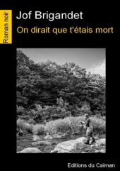 On dirait que t'étais mort - Jof BRIGANDET chronique Dora Suarez